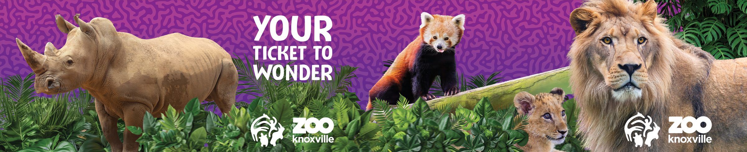 Your Ticket to Wonder: Panel artwork: “Your Ticket to Wonder”