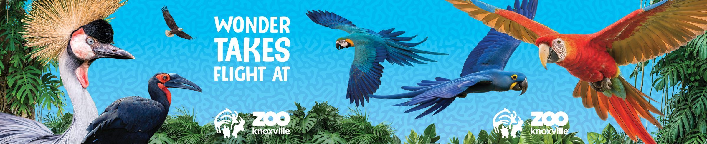Your Ticket to Wonder: Panel artwork: “Wonder Takes Flight at Zoo Knoxville”