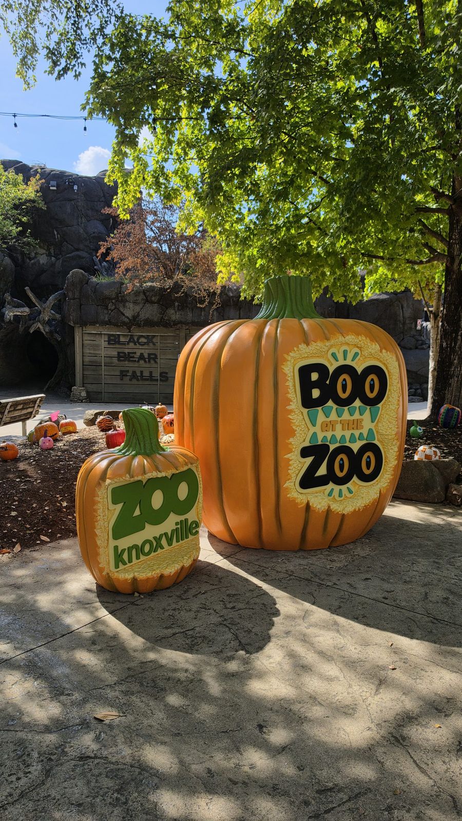 Boo at the Zoo: image 8 of 12