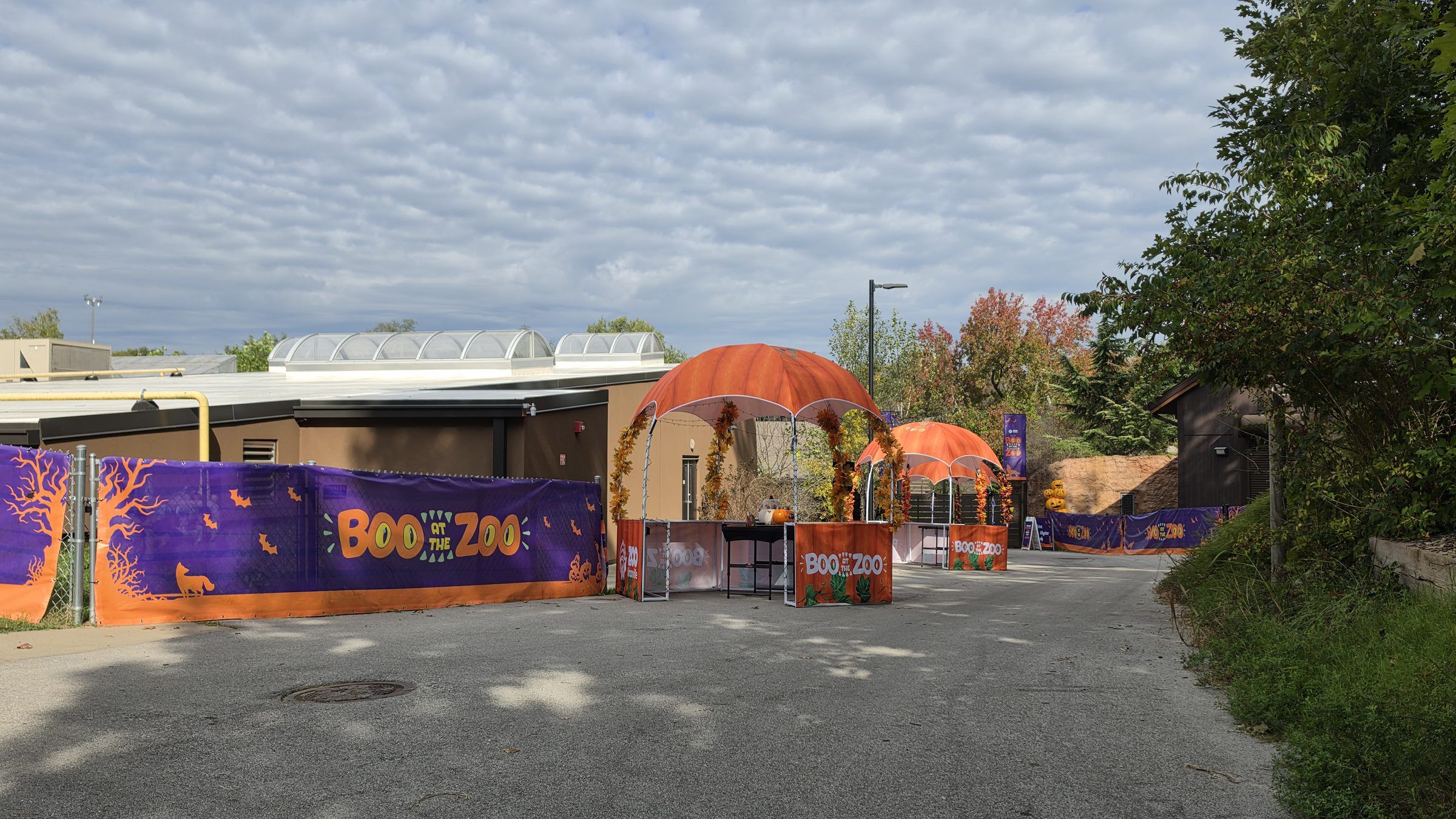 Boo at the Zoo: Event entrance with fence wraps and pumpkin arches