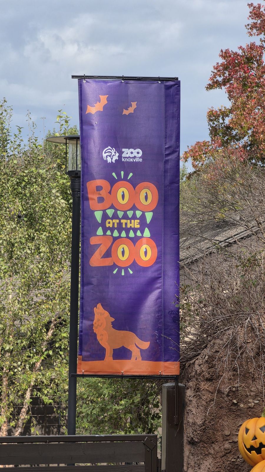 Boo at the Zoo: image 1 of 12