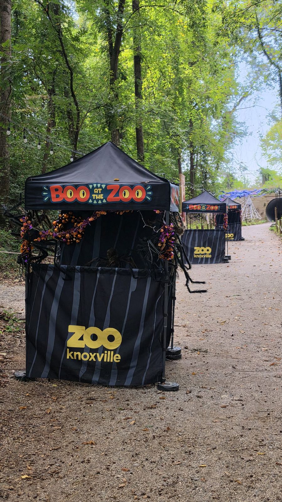 Boo at the Zoo: image 2 of 12