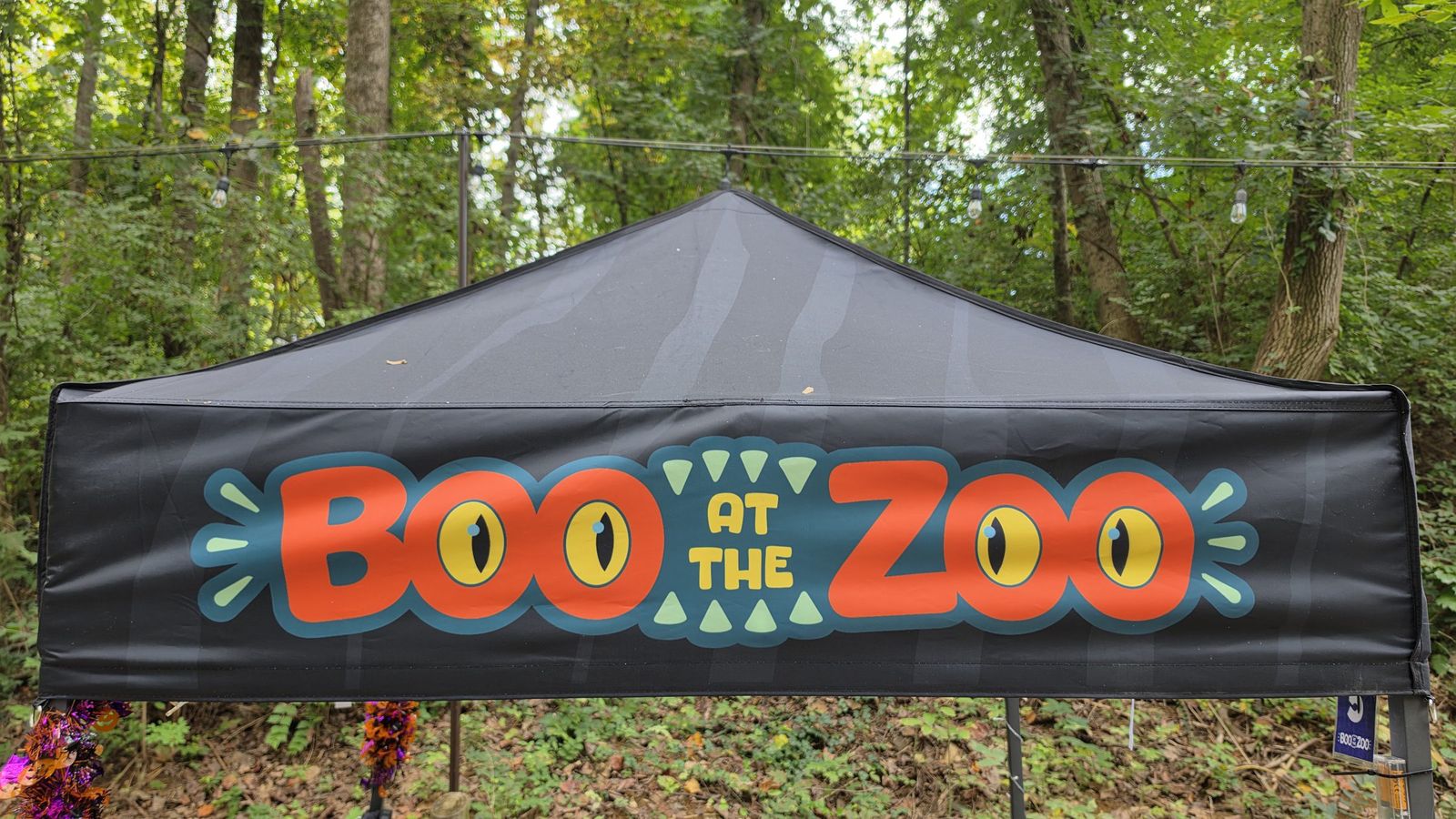 Boo at the Zoo: image 3 of 12