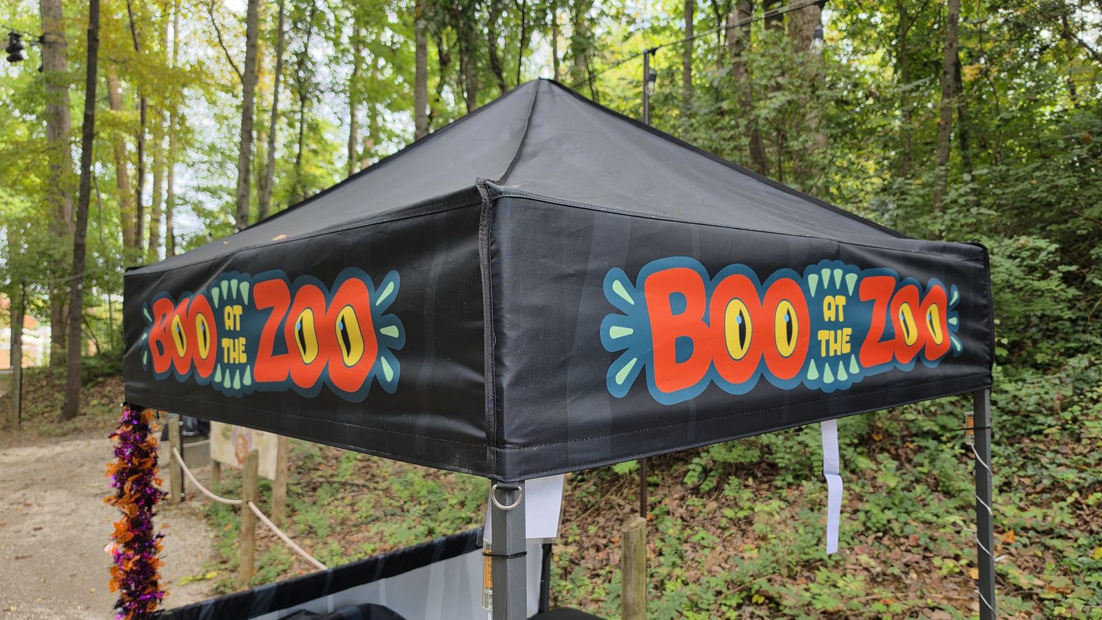 Boo at the Zoo: image 5 of 12