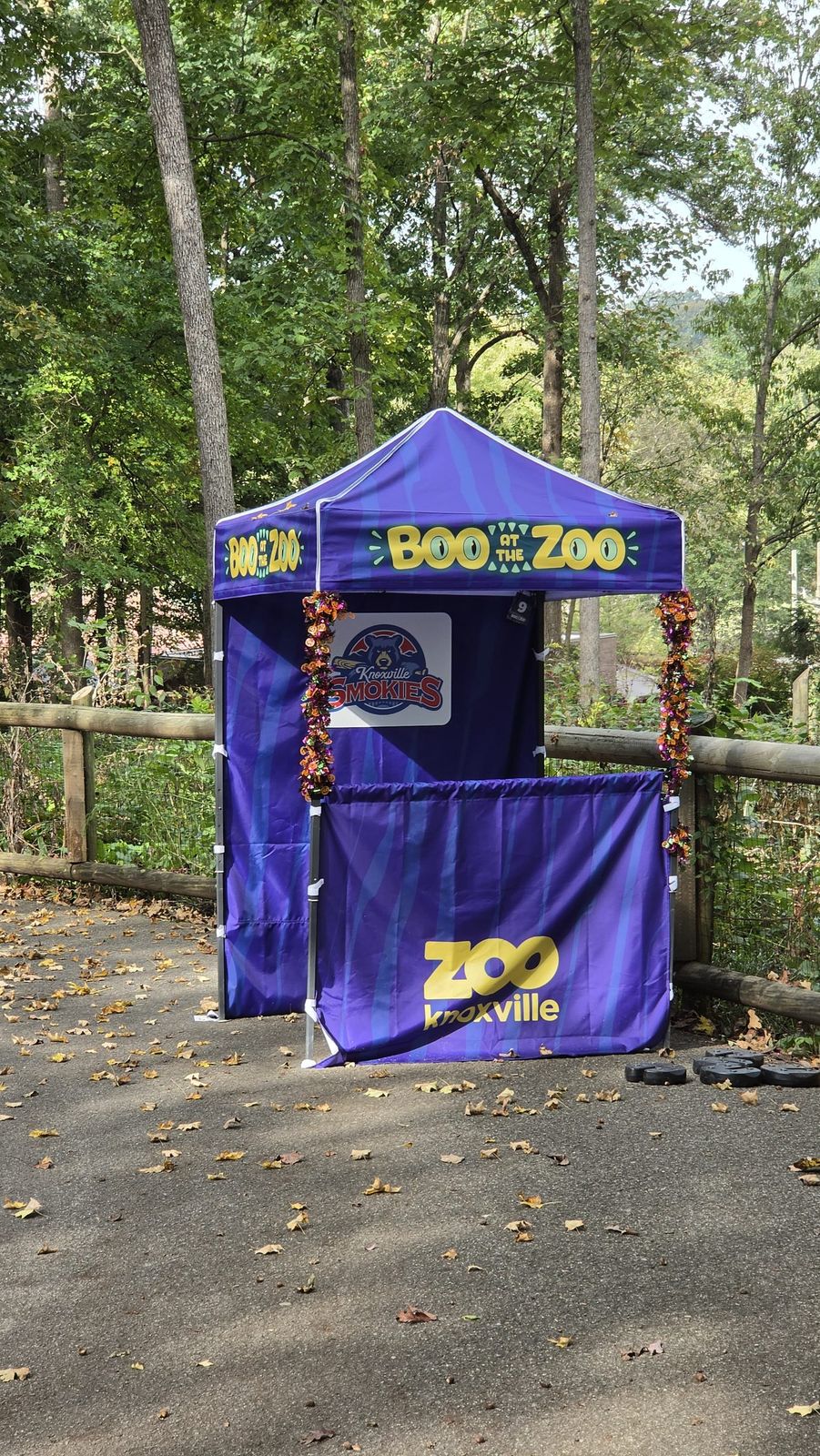 Boo at the Zoo: image 4 of 12