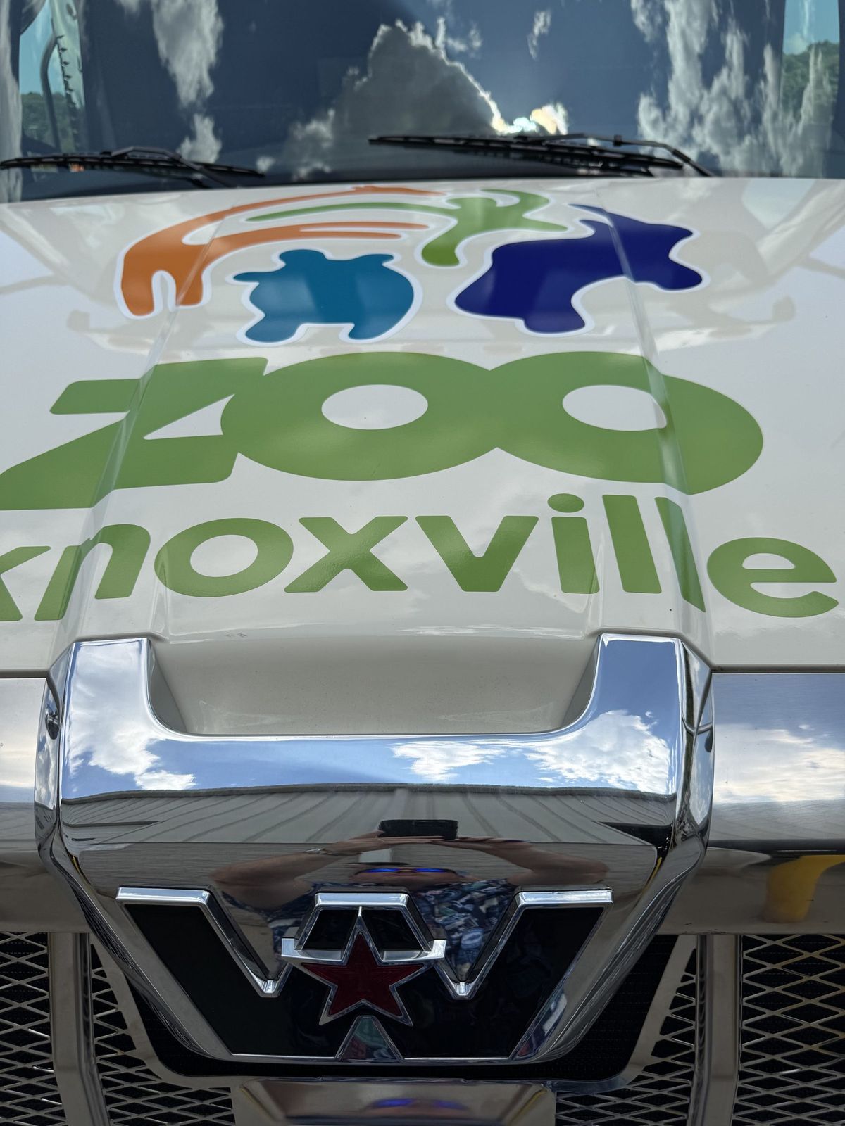 This Is Your Zoo, Knoxville: image 3 of 3
